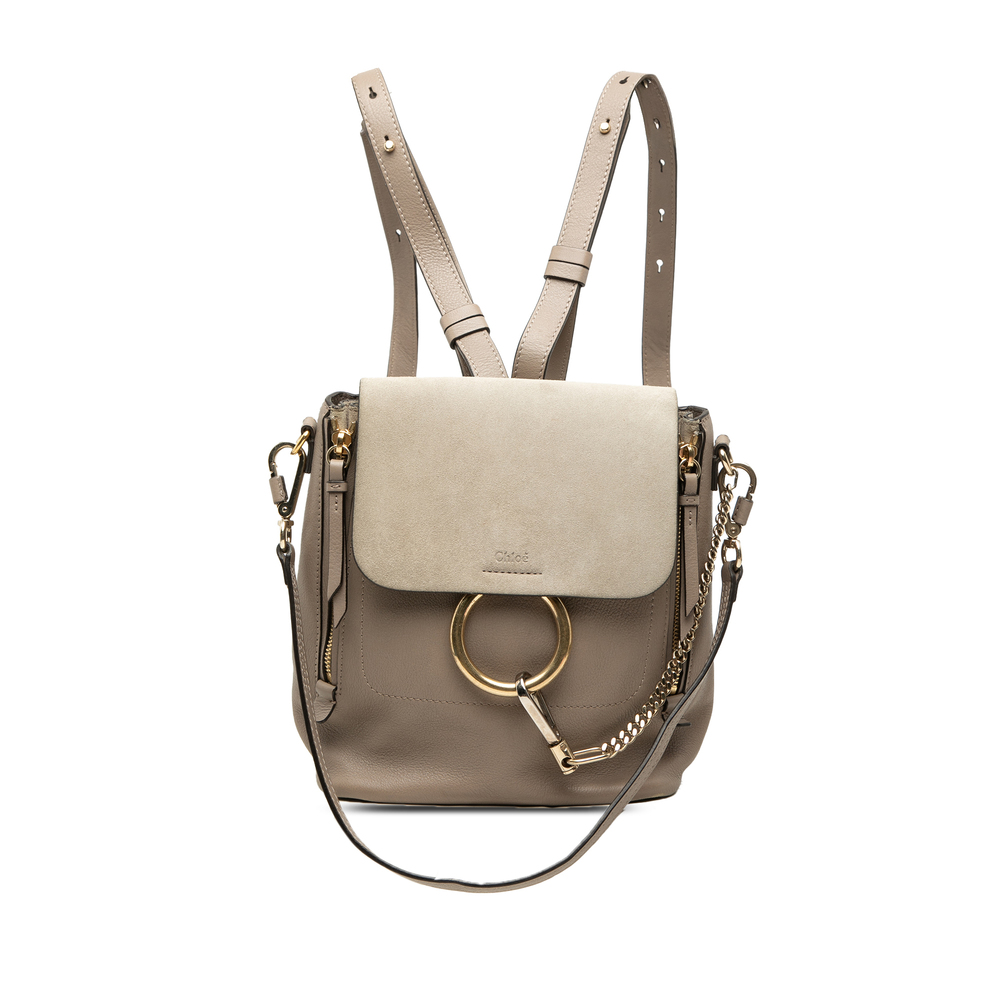 Pre-Loved Chloé Small Calfskin and Suede Faye Backpack